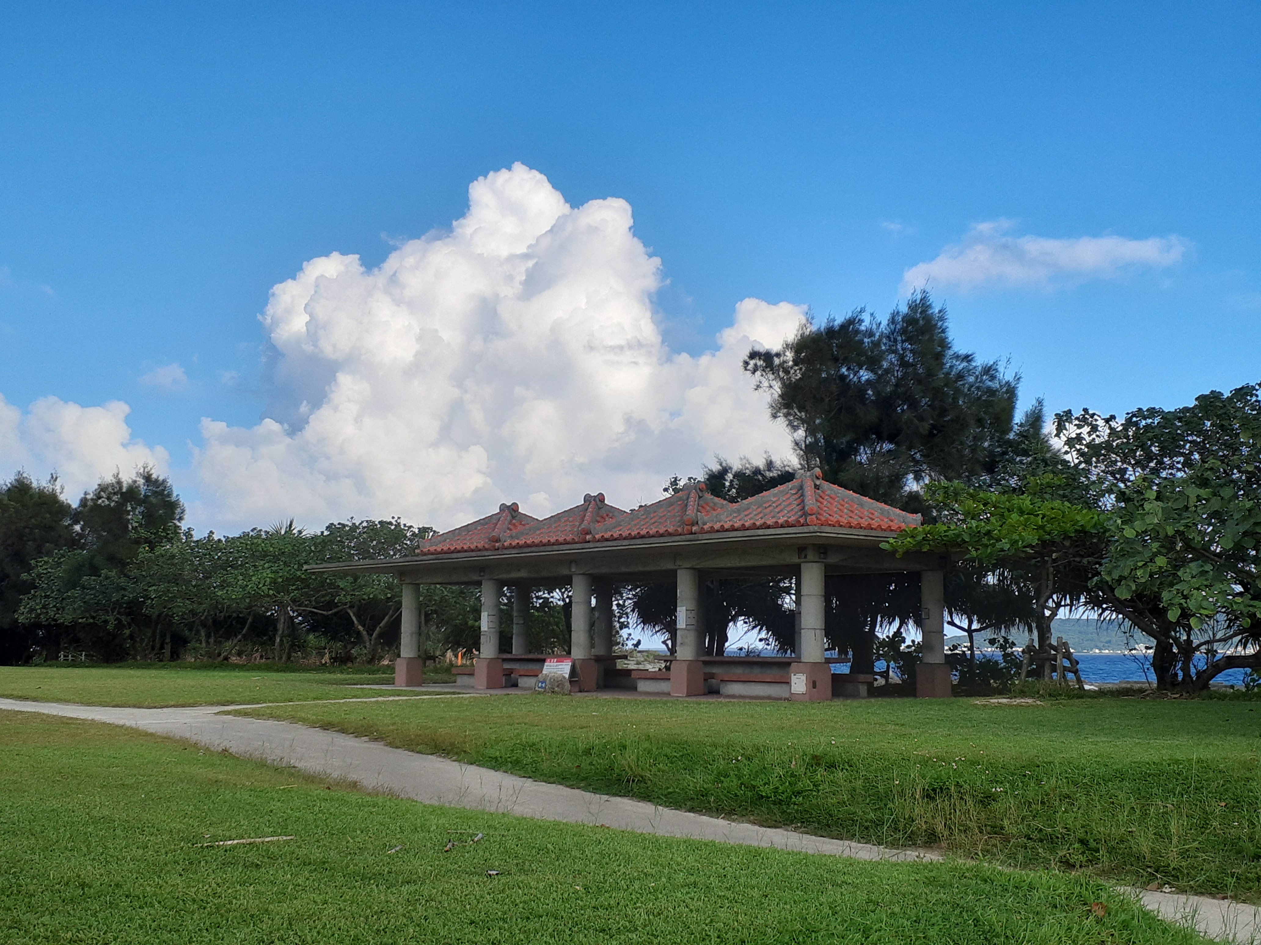 夜の市街地と運転代行